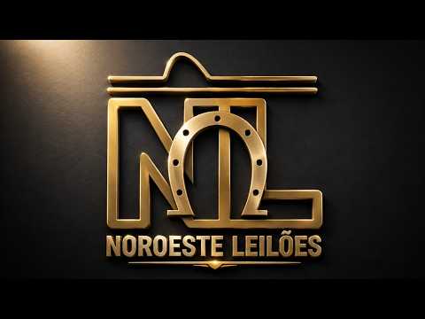 🐮 TRADICIONAL LEILÃO DE GADO DE CORTE  - NOROESTE LEILÕES EM UNAI - MG