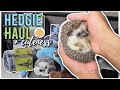 HEDGEHOG HAUL! | Hedgehog Cage Supplies + Trying Treats! 🦔