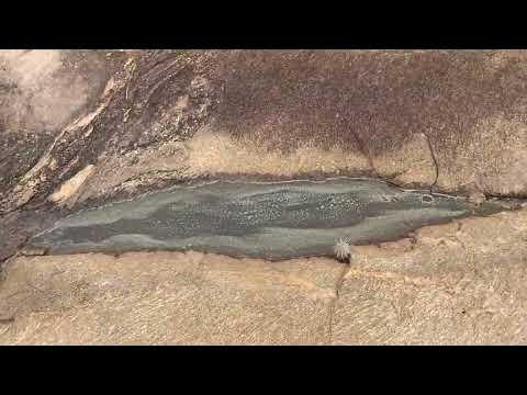 falando da zona rural município de solidão Pernambuco Brasil 