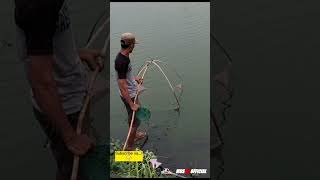 Download lagu NGANCO UDANG DIDANAU #shorts mp3