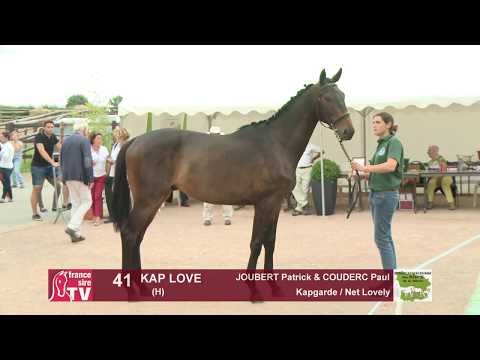 Concours Cercy 2017 - Lot 41 - Kap Love