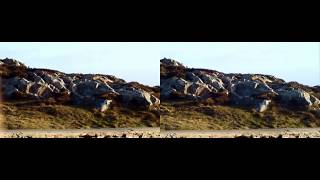 Holy Island (Anglesey, Wales)