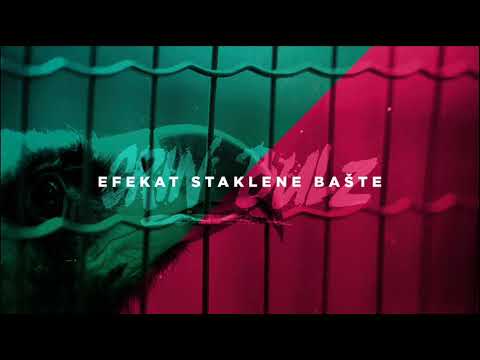 Grin Bulz - Efekat Staklene Bašte