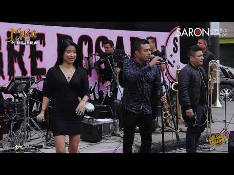 Parranda la negrita  - Los LatínBruno  en vivo ( Sangre Rosada )