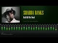 Shabba Ranks - Hafi Kill Me Dead (Twin City Spin Riddim) [HD]