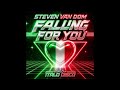 Steven Van Dom Falling For You