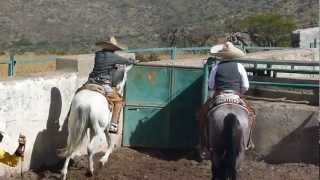 preview picture of video 'El Ausente Banda Valparaiso Rodeo De los Perez 12/24/12'