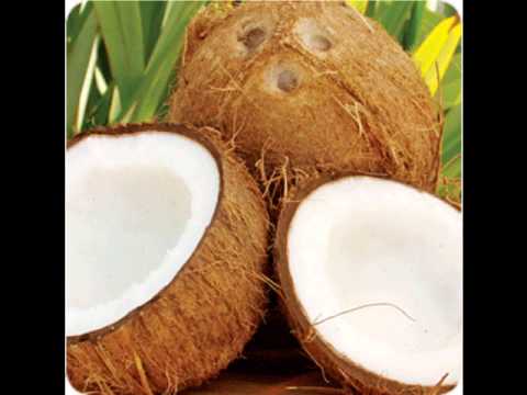 oneroot  keeping it real