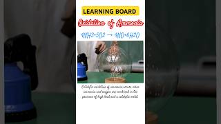 Chemical Reaction | Oxidation of Ammonia | 4NH3+5O2 → 4NO+6H2O #chemistry #experiment #shorts