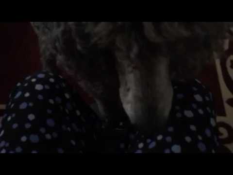 Bergin learning 'step up'