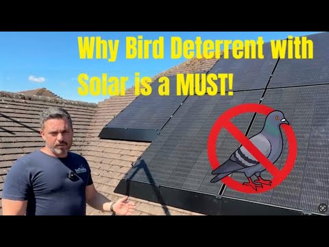 Pigeon Proofing Solar Panels UK | Bird Wire Protection Installation Explained