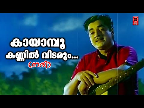 Kayampoo Kannil Vidarum - Nadhi(1969) | K.J Yesudas | Vayalar ramavarma | G Devarajan | Movie Song