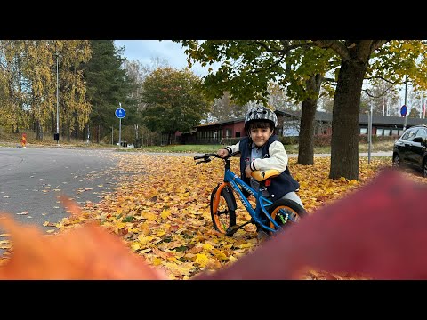 Kurdish Vlog-Xwardna xoshakan