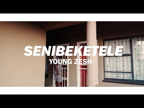 Young Zesh - Senibeketele (Visualizer)