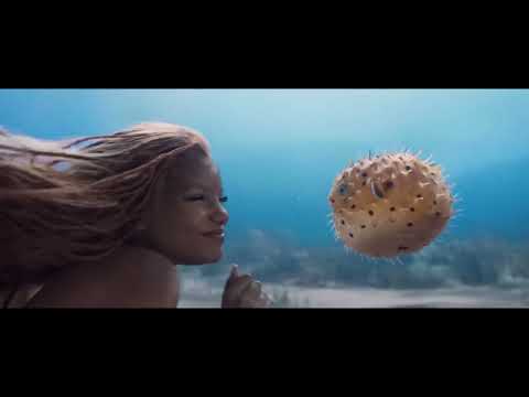 Votre Printemps 2023 au cinéma Le Conti !