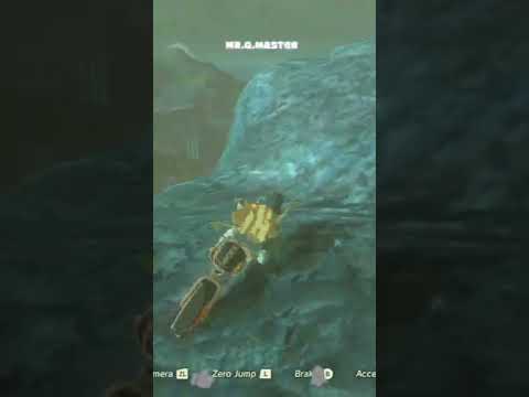 Zelda Breath of the Wild Master Cycle Skills