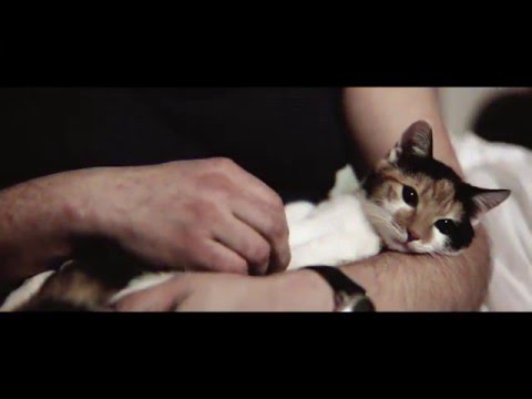 Westbalkonia - "Roboter"