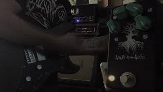 Video thumbnail for Anarchy Audio Deadwoods PEDAL DEMO by Brendan Sloan