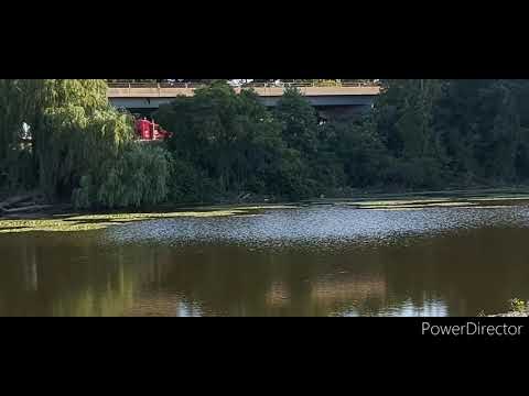 Charles Daley Park and Beach,2020