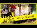 Katten en kerst | HEA!