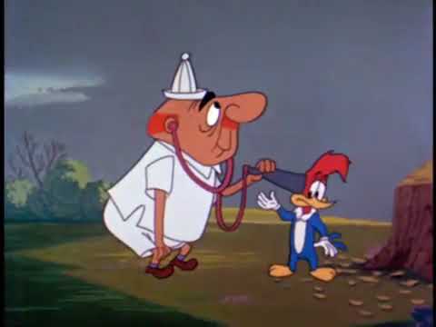 Woody Woodpecker Watch the Birdie