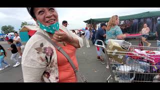 Conozca Flea Market en Colorado