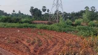  Residential Plot for Sale in Marungulam, Thanjavur