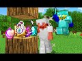 Minecraft Hunger Games But Everything Is OP