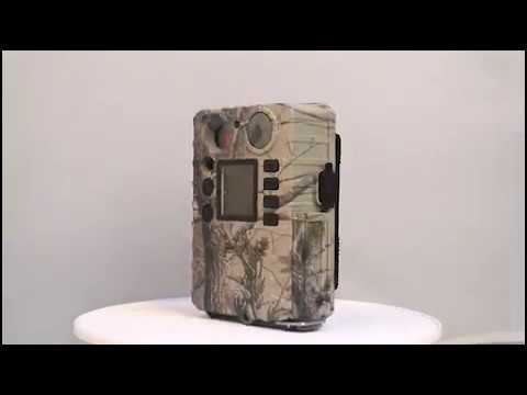 Миниатюра изображения товара Фотоловушка BolyGuard BG310-MFP