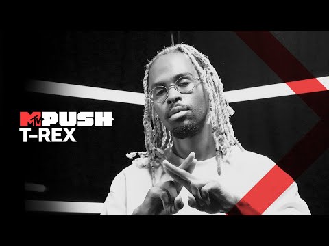 MTV Push Portugal: T-Rex - Entrevista | MTV Portugal