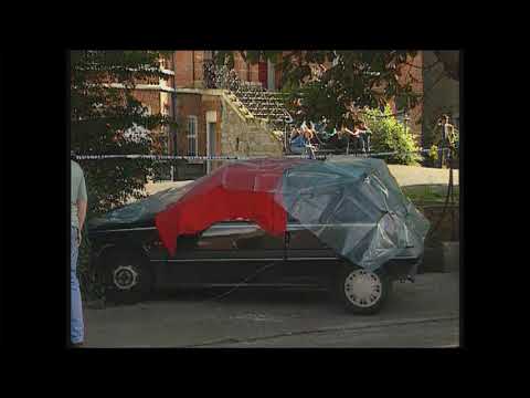 Martin Cahill Shot Dead - RTE News August 18, 1994