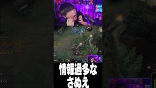 情報過多によりおかしくなるさぬえ