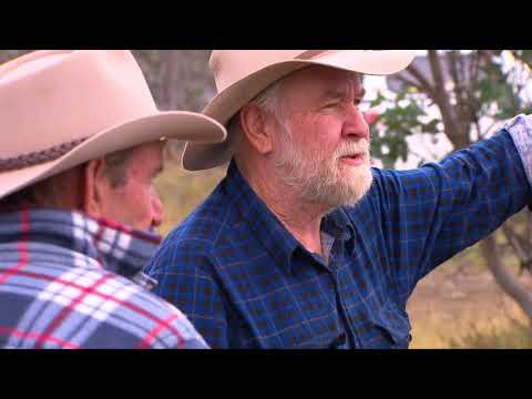 Victorian High Country