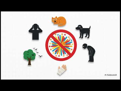 A Lei dos Fogos e a Impunidade em Sapé-PB