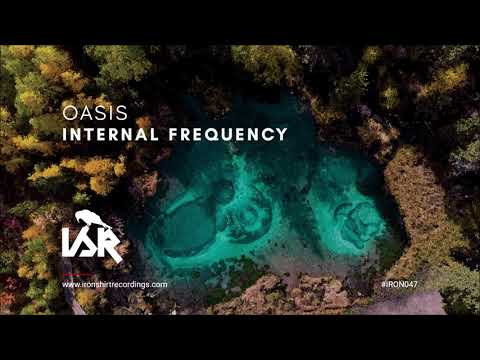 Internal Frequency - Marauders (Original Mix) {IRON047}