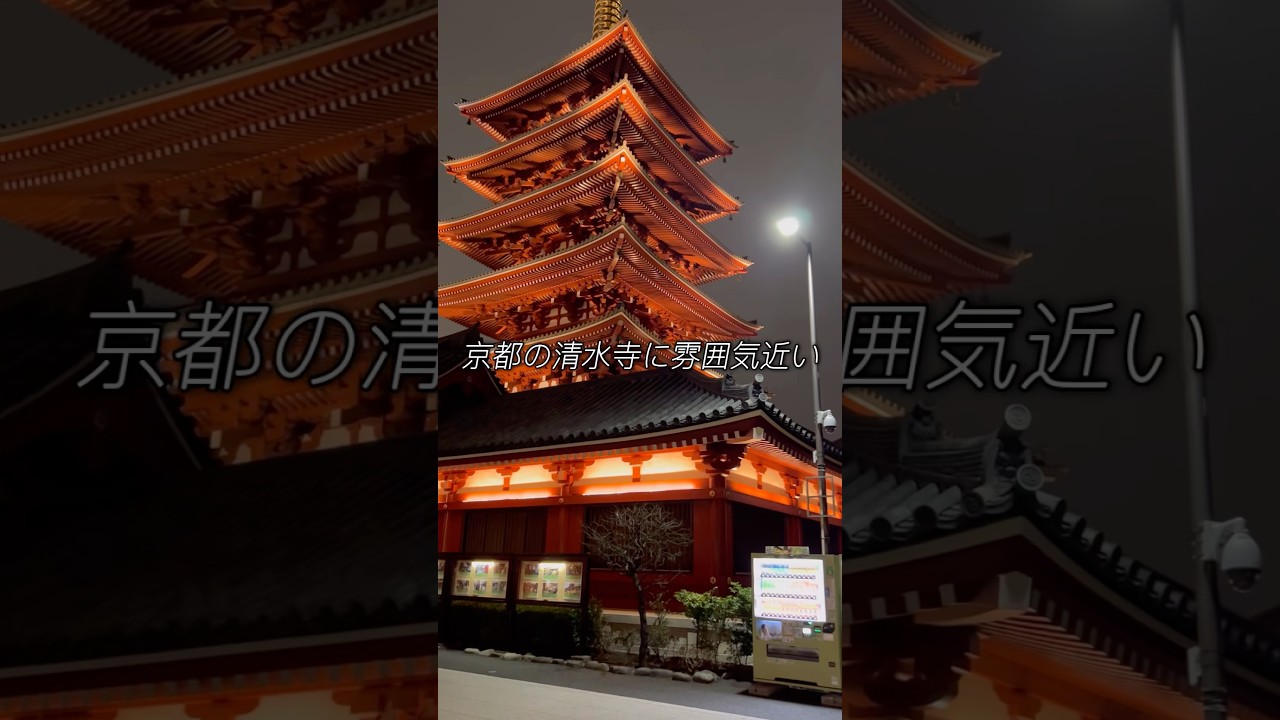 限界社会人のぶらり浅草一人旅#shorts 【東京観光】【旅vlog】