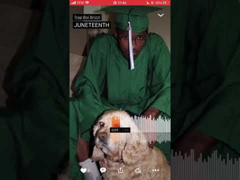 Trap Boi Brizzl - JUNETEENTH