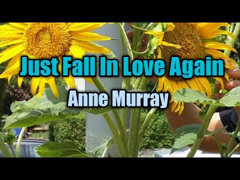 Just Fall In Love Again - Anne Murray (Lyrics Video)