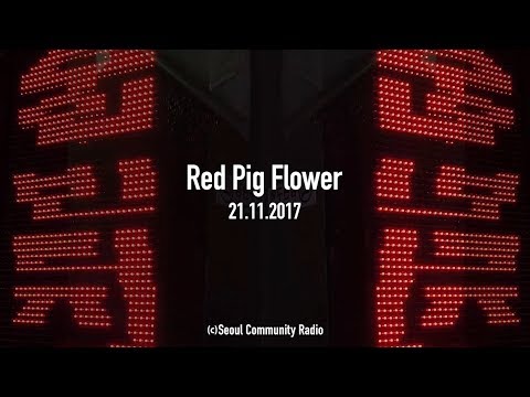SCR GUEST MIX - Red Pig Flower (21.11.17)