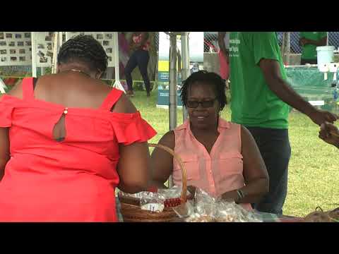 This Morning October 15th 2019