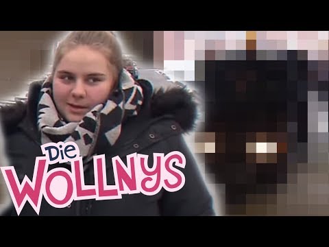 Riesige Überraschung für Silvia: Die Mädels geben alles | Folge 153 | Die Wollnys | RTLZWEI