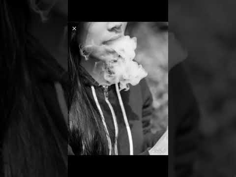 pet petter - normalny typ