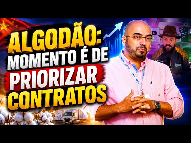 Algodão: Momento é de priorizar contratos