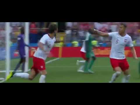Krychowiak Goal Poland 1-2 Senegal