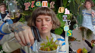 🌿 long plant chores vlog 🌿 anthurium seedling updates, new wall plant, feeding my carnivorous plants