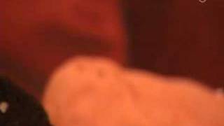 HARTZ4 ARGE Gestapo-Umtriebe