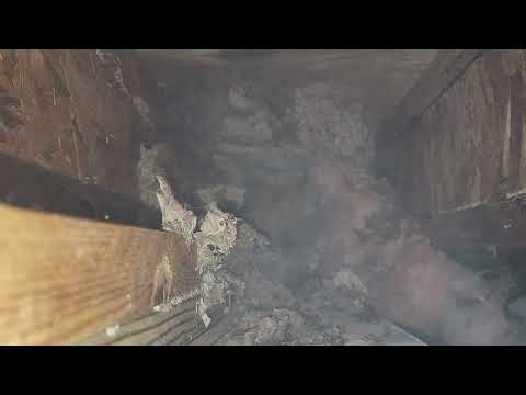 Basement Insulation Hiding a Yellow Jacket Nest in Mantoloking, NJ