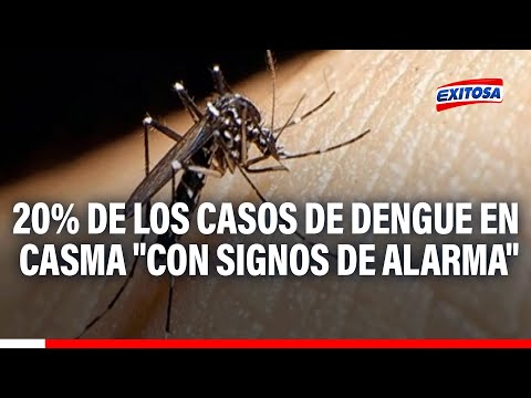 🔴🔵Áncash: Reportan más de 1100 casos de dengue en Casma, el 20% de ellos con signos de alarma