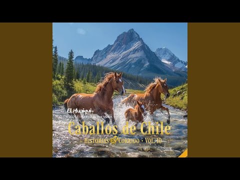 CORRAL LOS ROJAS-RIO HURTADO