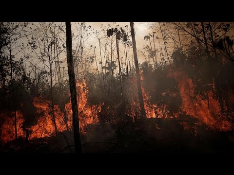 بعد ضغوط دولية .. البرازيل ترسل الجيش لمكافحة حرائق الأمازون …
